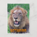 Search for botswana postcards Delta