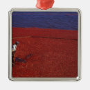 Search for harvest christmas tree decorations Season