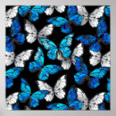 Search for butterfly pattern posters Insects