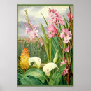 Search for swamp art Vintage