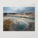 Search for watering hole postcards Nature