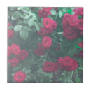 Search for rose drawing coasters Floral