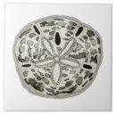 Search for sand dollar tiles Tropical