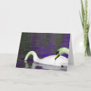 Search for nebraska cards Photography