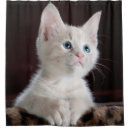 Search for cute shower curtains Kitten
