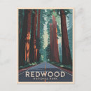 Search for redwood national park postcards California