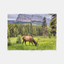 Search for banff national park blankets Deer