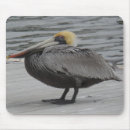 Search for florida birds mouse mats Ocean