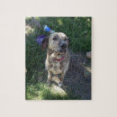 Search for bull terrier puzzles Pet