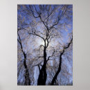 Search for backlit posters Adam jones
