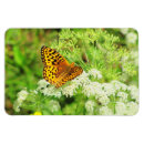 Search for orange black white magnets Flower