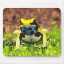 Search for poison mouse mats Frog