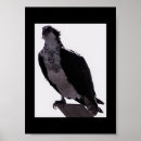 Search for hawk paintings posters Wildlife