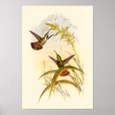 Search for nectar art Bird