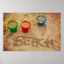 Search for pictures of seashells posters Ocean