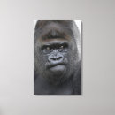 Search for wild one canvas prints Animals in the wild