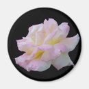 Search for draw magnets Flowers