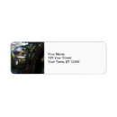 Search for bridges return address labels Gate