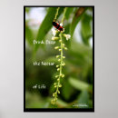 Search for nectar posters Nature