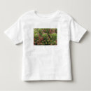 Search for sonora tshirts Succulent