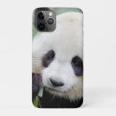 Search for kawaii cases Nature