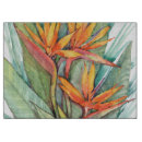 Search for cookware Tropical