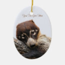 Search for desert christmas tree decorations Animals
