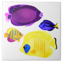 Search for aquarium tiles Tropical