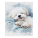 Search for sleeping dog posters Baby