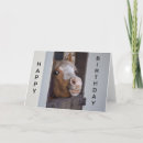 Search for horse birthday cards Brown