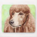 Search for toy poodle electronics Canine