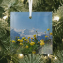 Search for mountain christmas tree decorations Switzerland