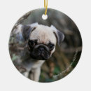 Search for mop mop christmas tree decorations Puppies