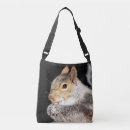 Search for nut with squirrel bags Animal