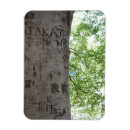 Search for tree trunk magnets Green