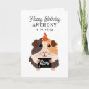 Search for funny pig birthday cards Rodent