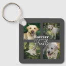 Search for rainbow bridge cat memorial key rings Sympathy quote