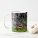 Search for florida alligator mugs Reptile