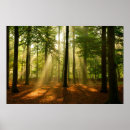 Search for through posters View