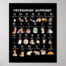 Search for nurses week posters Nurse appreciation