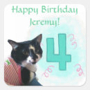 Search for tuxedo cat stickers Birthday