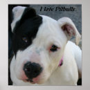 Search for pitbull posters Black