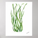 Search for seagrass posters Watercolor