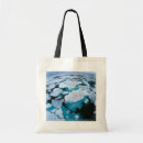 Search for arctic bags Ice