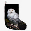 Search for owl christmas stockings White