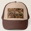 Search for salamander hats Animal