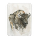 Search for buffaloe magnets Bison