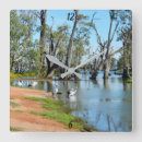 Search for pelican art Australia