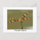 Search for balancer cards Motivation