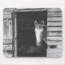 Search for maree electronics Horses